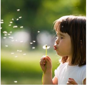 Un Programme cle en main pour les enfants de moins de 12 ans Un Programme cle en main pour les enfants de moins de 12 ans