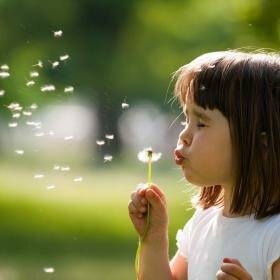 pollen enfant - source fotolia pollen enfant - source fotolia